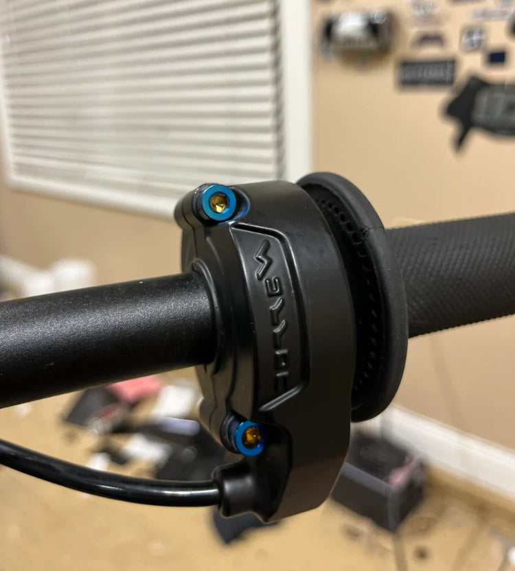 Ultra Bee/LBX Throttle Bolts (Set of 2)